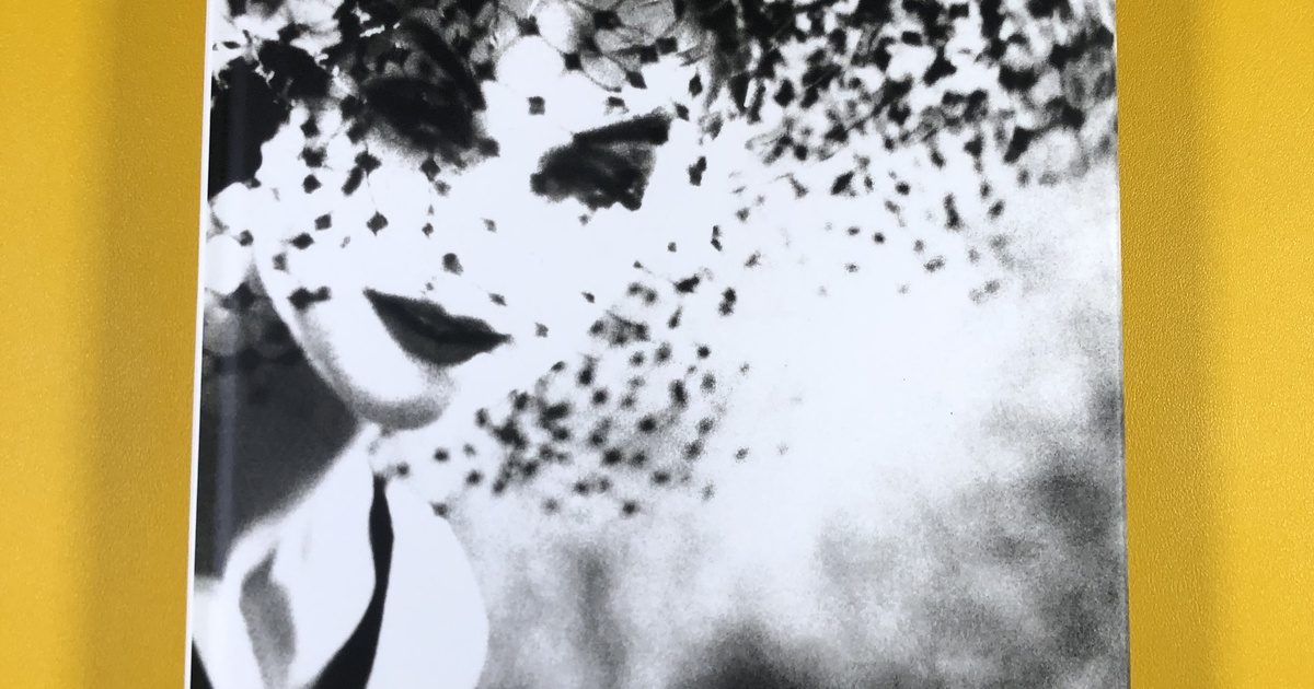 Publication: Lillian Bassman - Women | Peter Fetterman Gallery